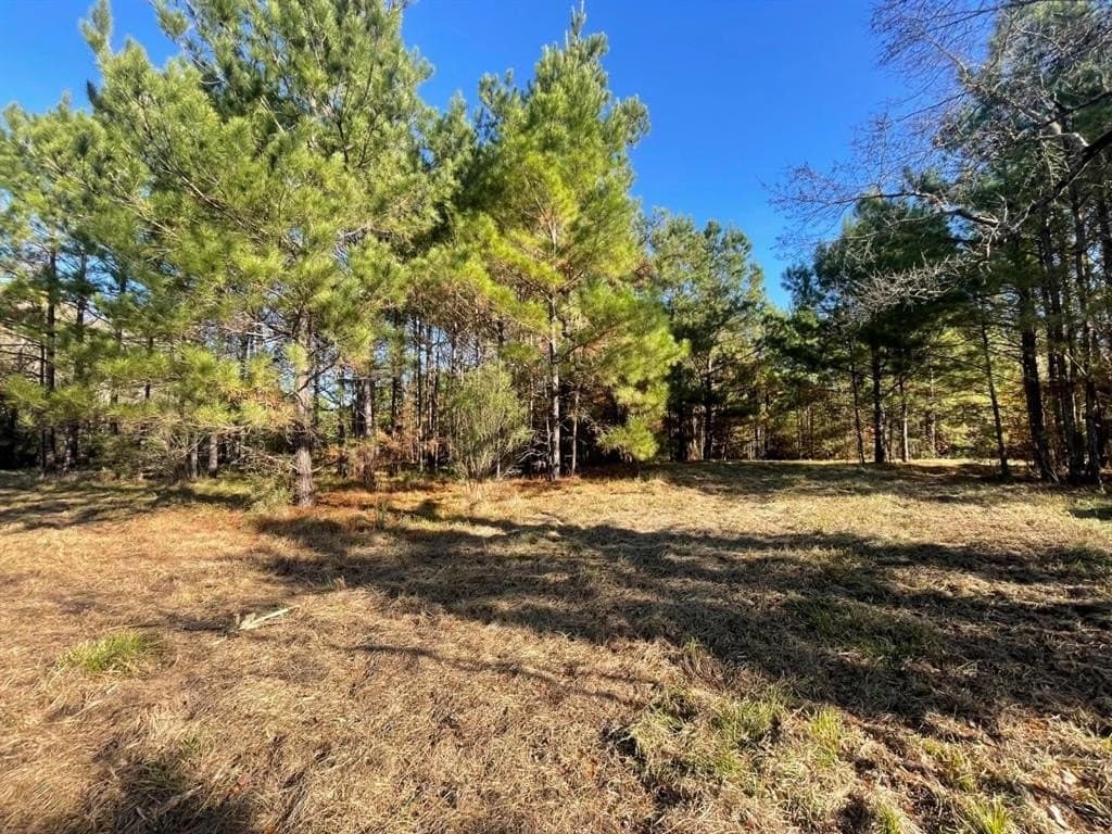 6.64 acres in Polk County - photo 19