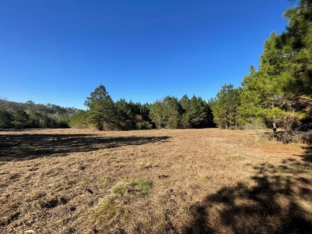 6.64 acres in Polk County - photo 21