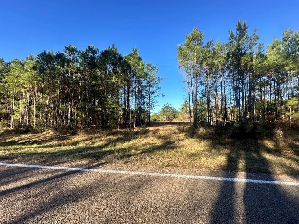 6.64 acres in Polk County - photo 4