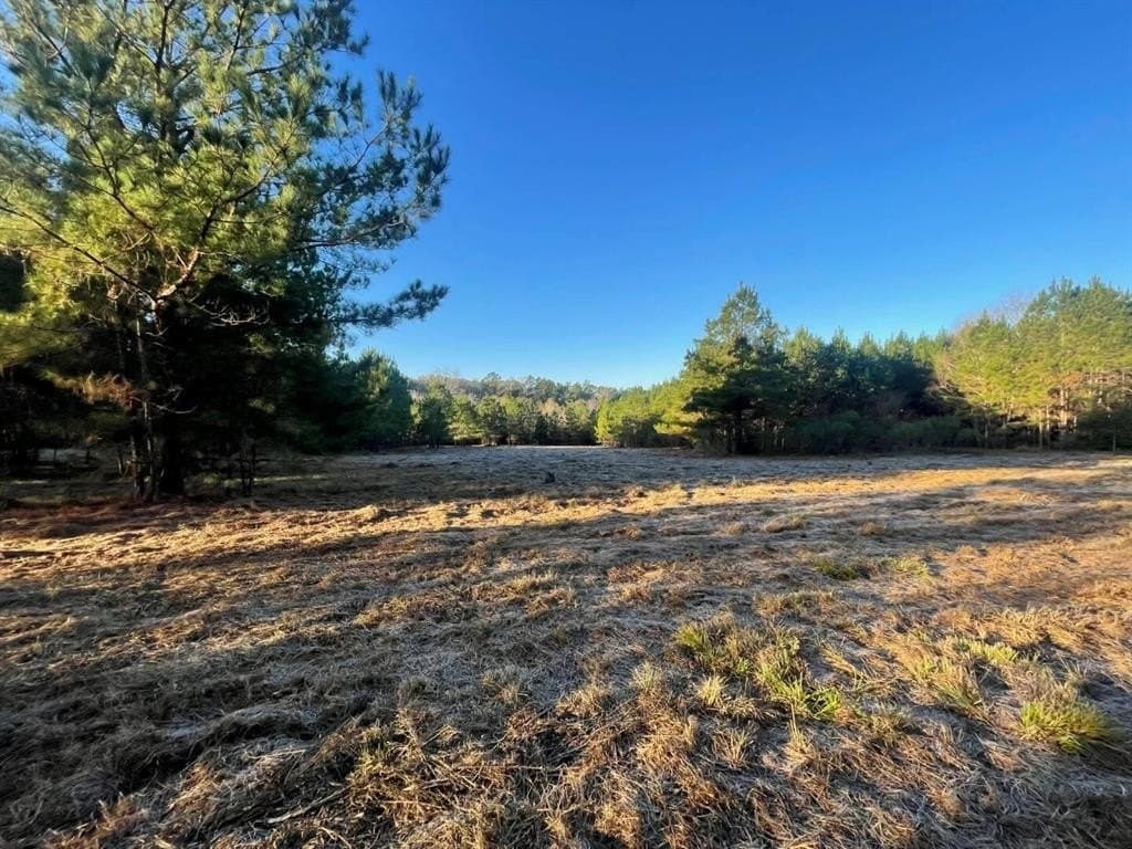 6.64 acres in Polk County - photo 15