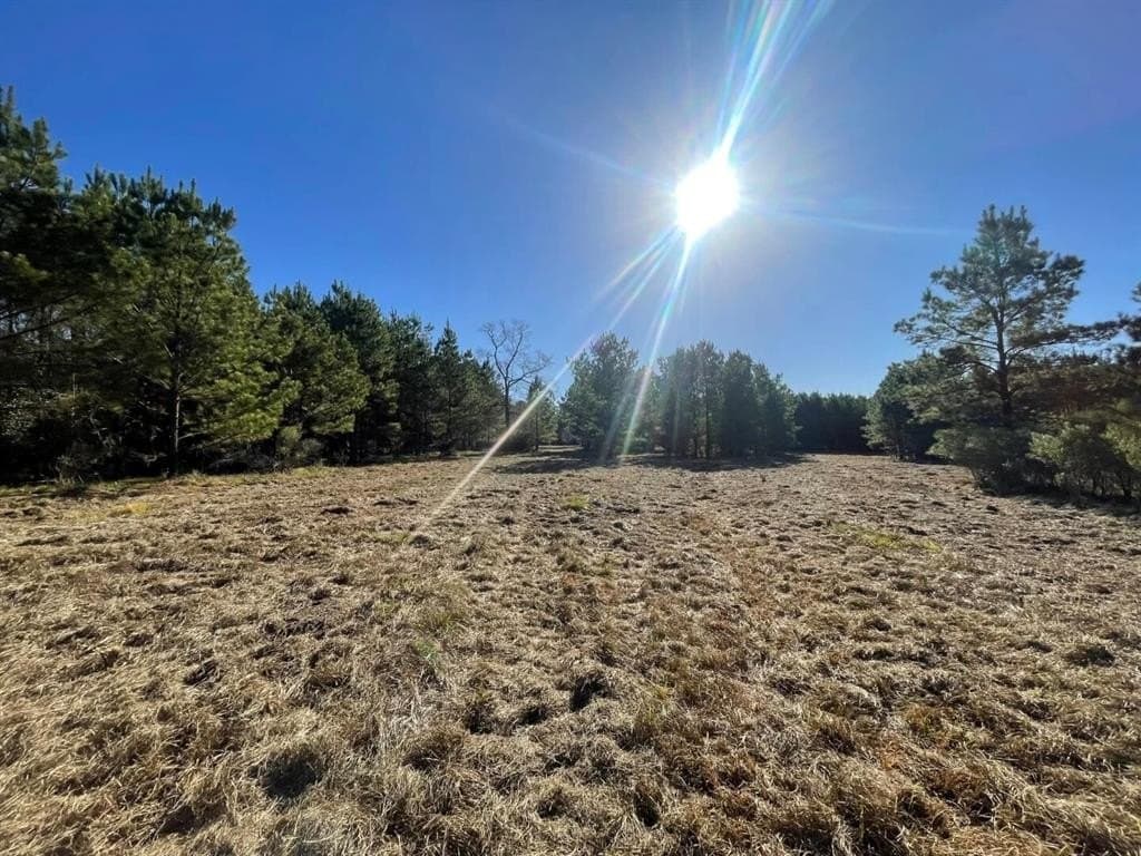 6.64 acres in Polk County - photo 23