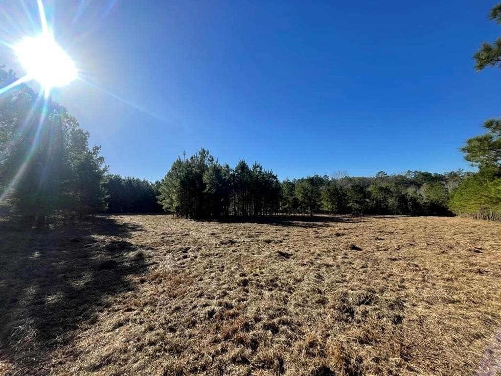 6.64 acres in Polk County - photo 25