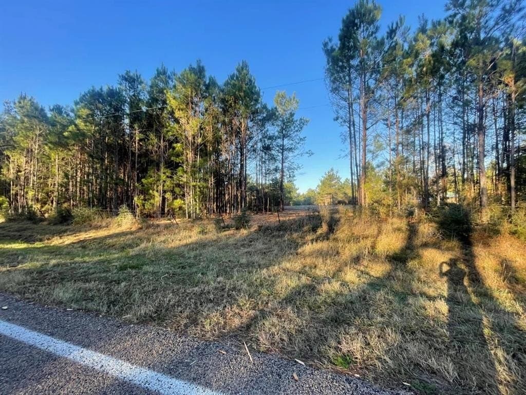 6.64 acres in Polk County - photo 3