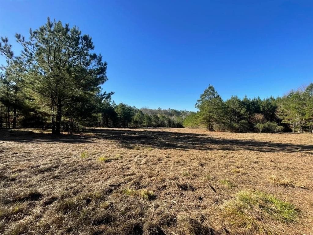 6.64 acres in Polk County - photo 20