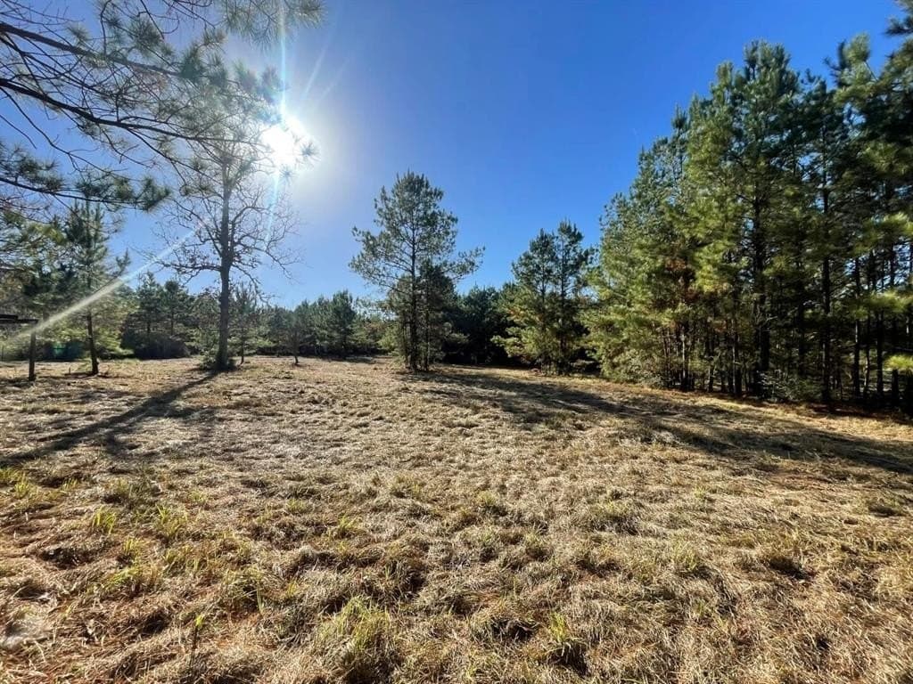 6.64 acres in Polk County - photo 17