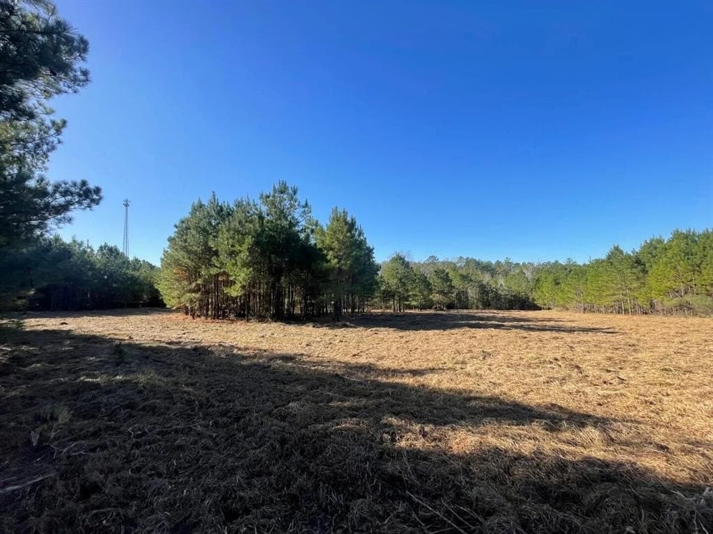6.64 acres in Polk County - photo 26