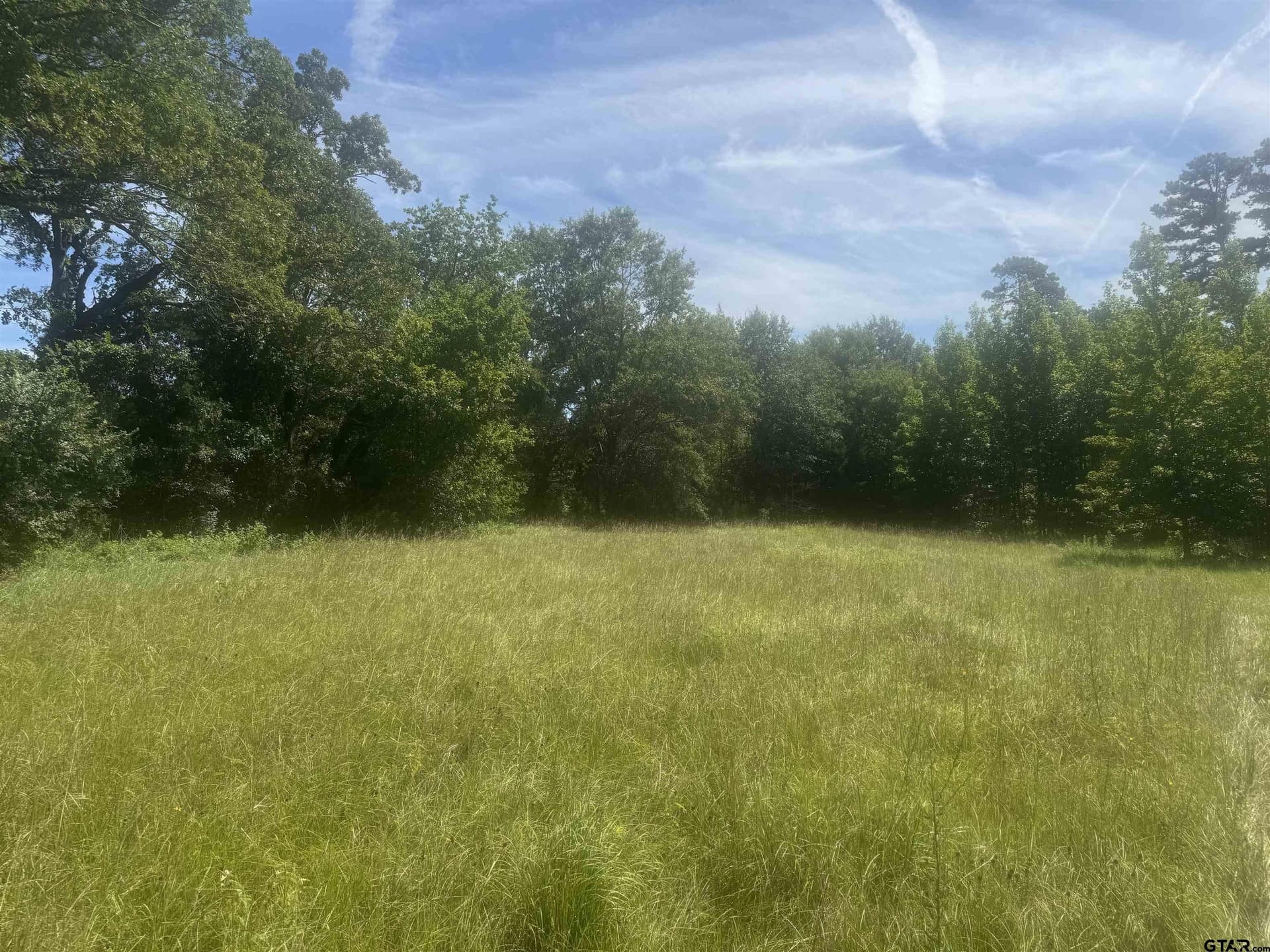 20.87 acres in Wood County - photo 4