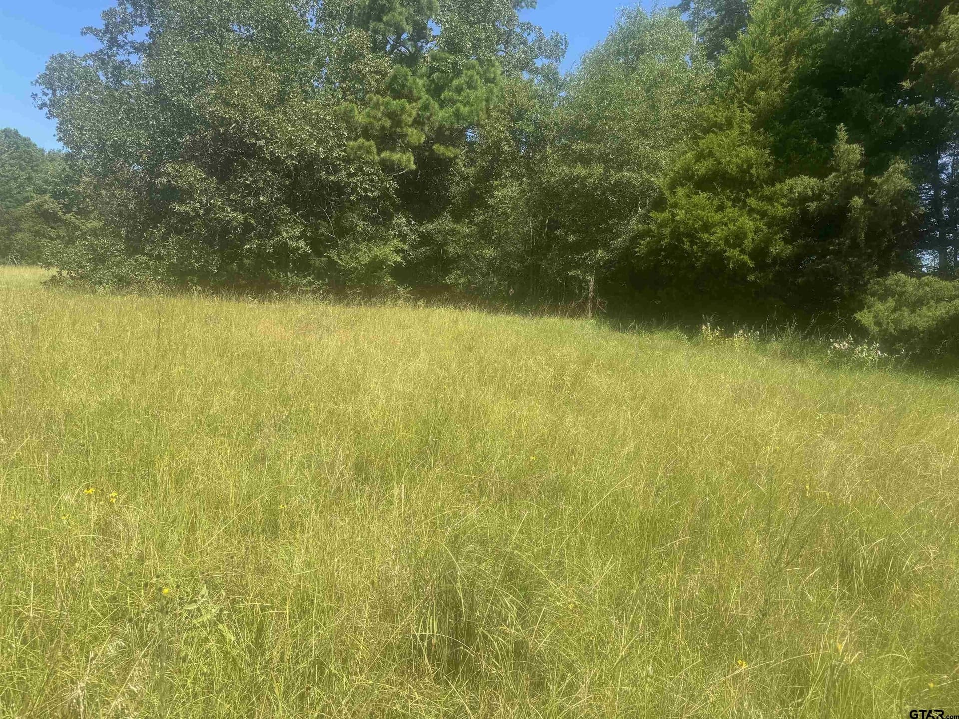 20.87 acres in Wood County - photo 5