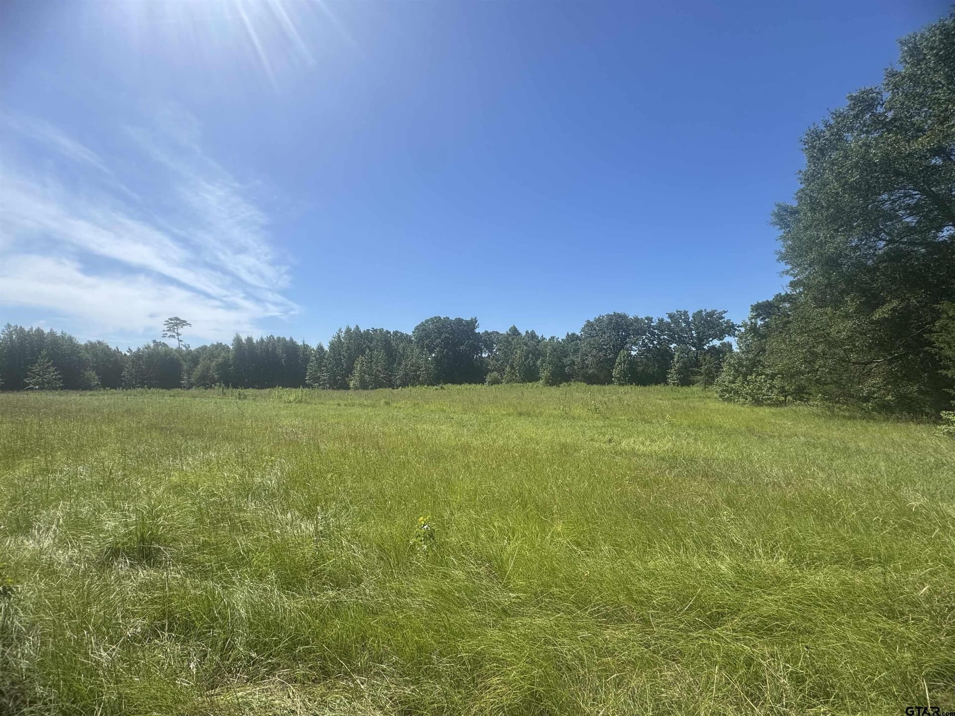 20.87 acres in Wood County - photo 3