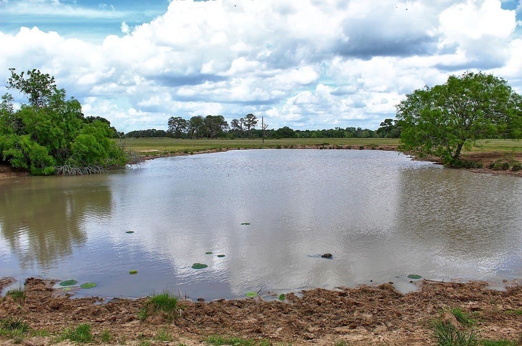 63.52 acres in Colorado County - photo 5