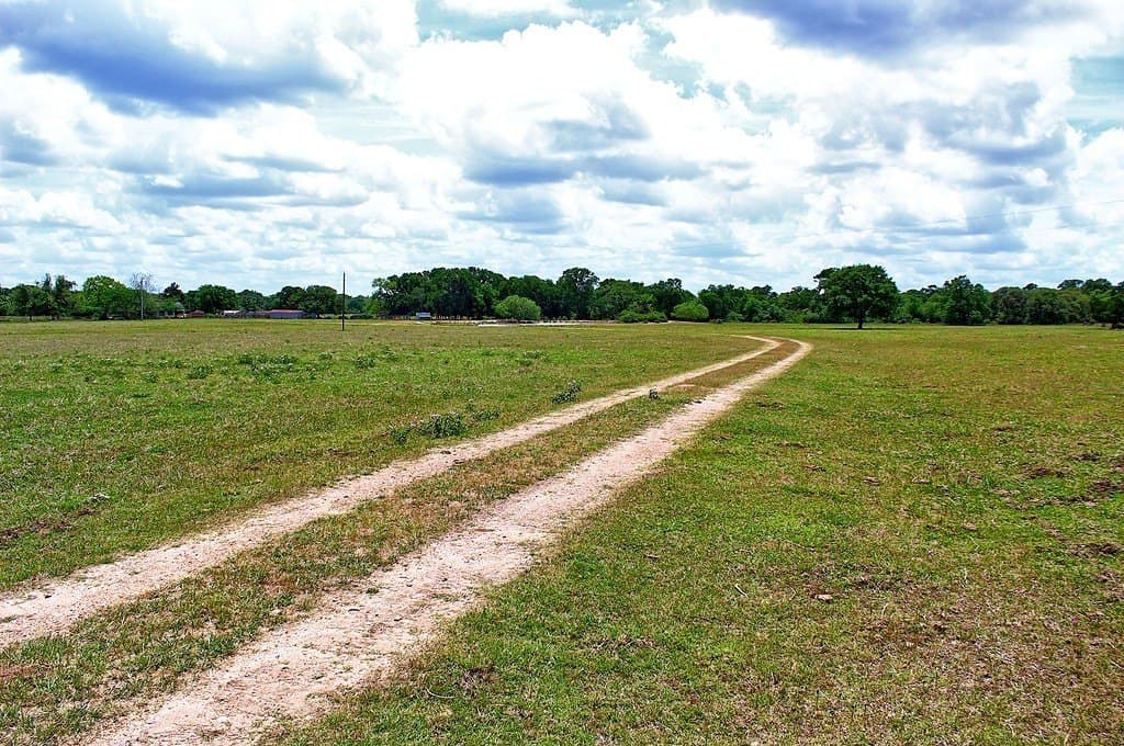 63.52 acres in Colorado County - photo 21
