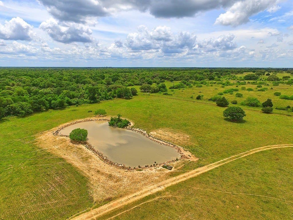 63.52 acres in Colorado County - photo 6