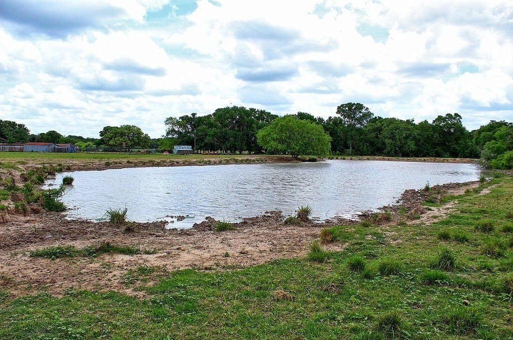 63.52 acres in Colorado County - photo 24