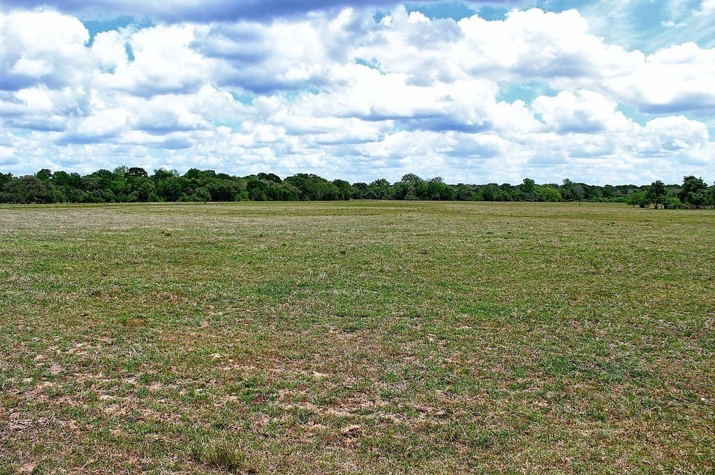 63.52 acres in Colorado County - photo 28
