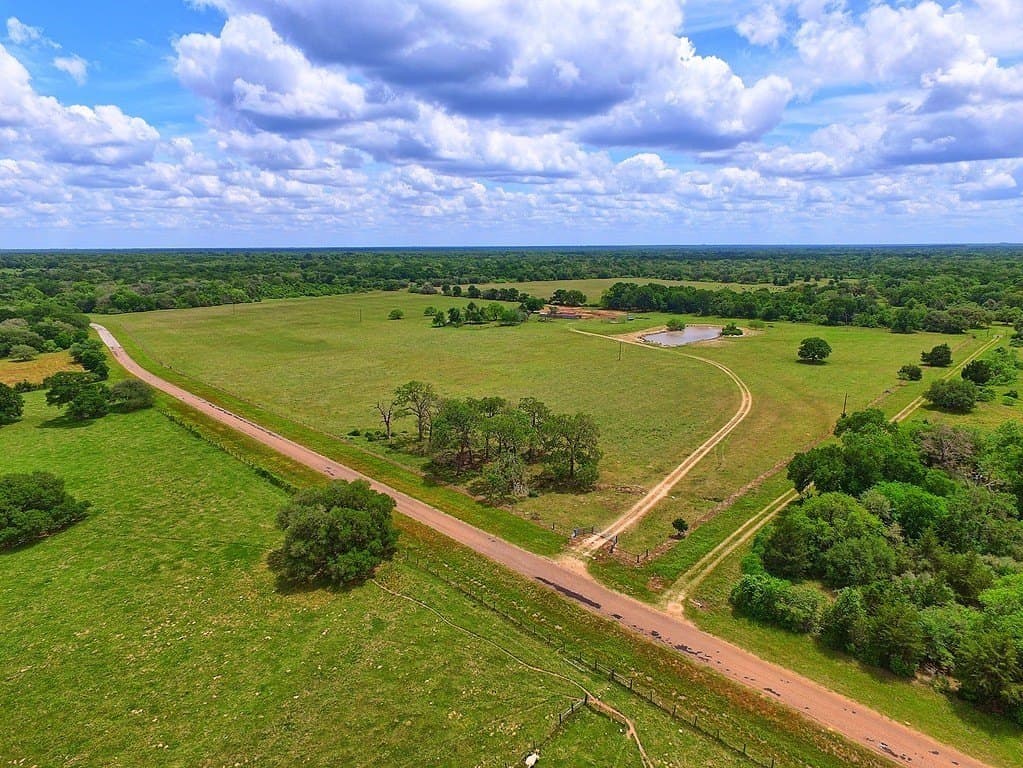 63.52 acres in Colorado County - photo 8