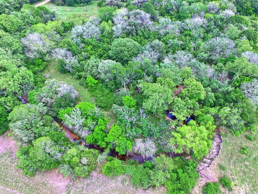 63.52 acres in Colorado County - photo 2