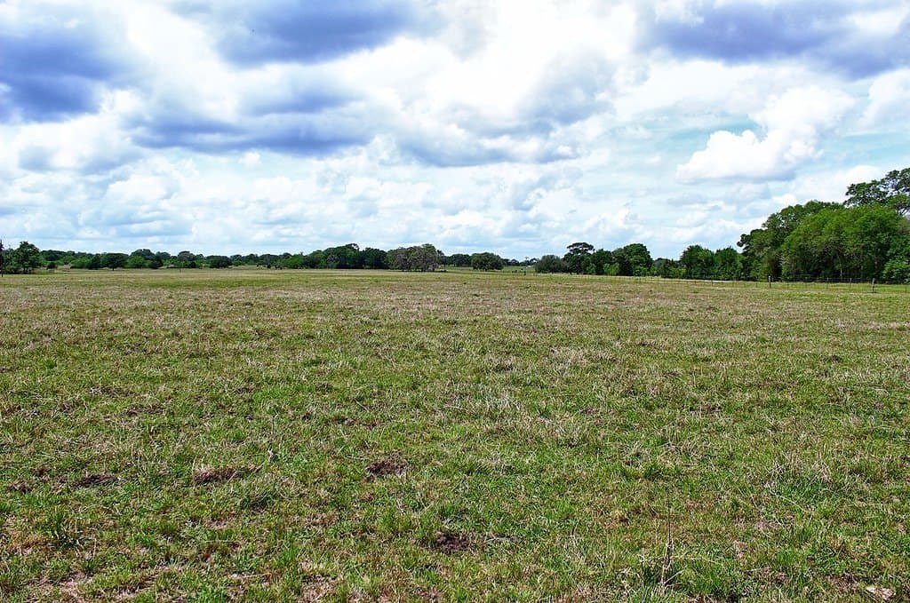 63.52 acres in Colorado County - photo 17