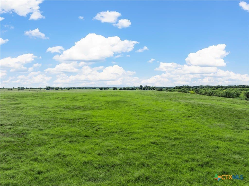 15.03 acres in Milam County - photo 6