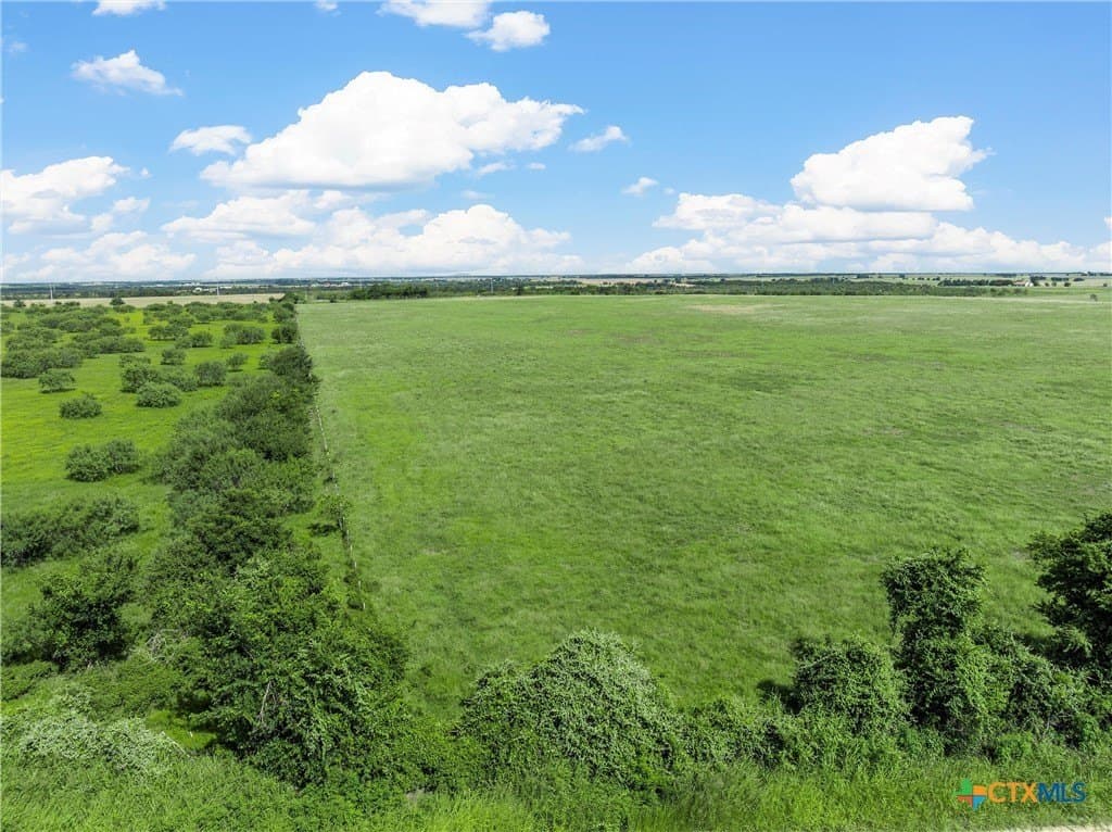 15.03 acres in Milam County - photo 7