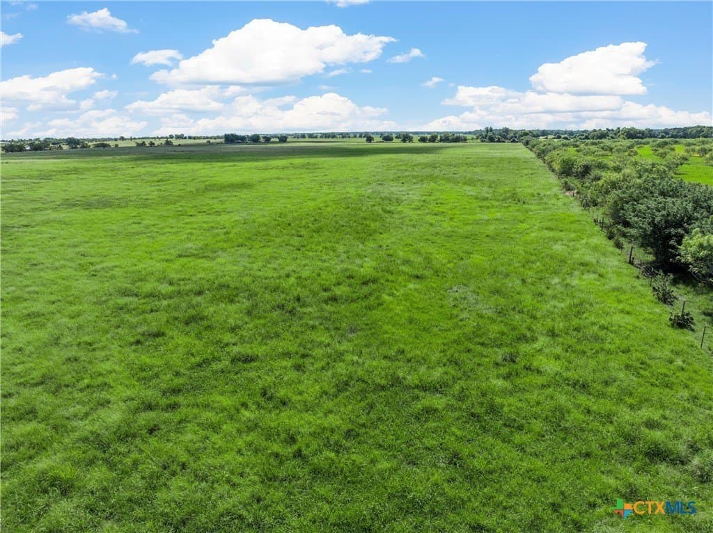 15.03 acres in Milam County - photo 2