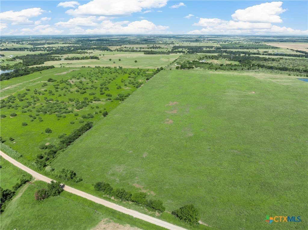 15.03 acres in Milam County - photo 9
