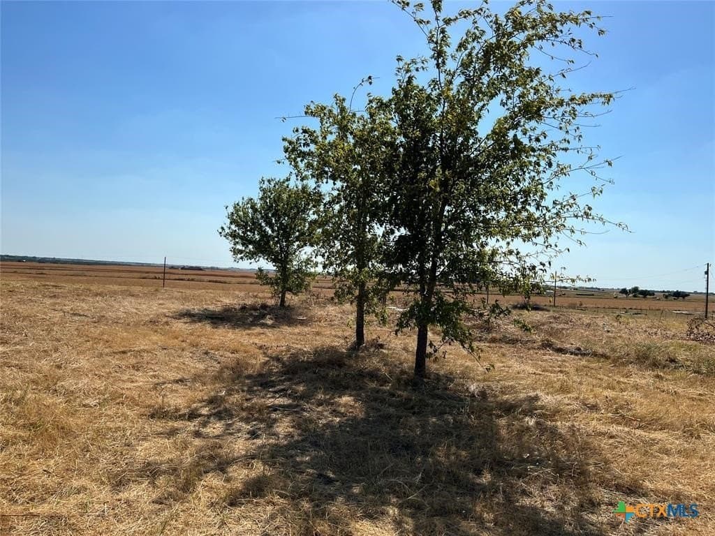 12.31 acres in Williamson County - photo 4