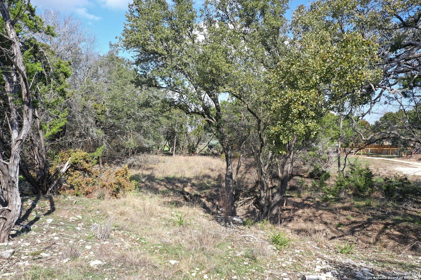 0.45 acres in Bexar County - photo 9