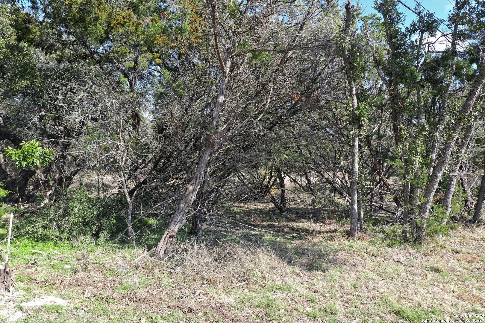 0.45 acres in Bexar County - photo 11