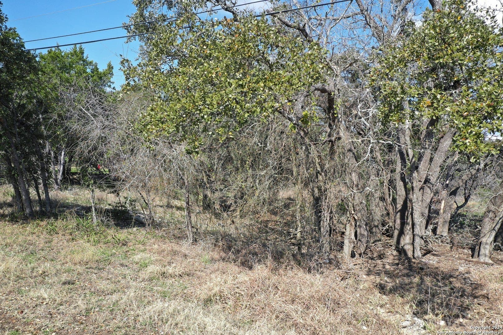 0.45 acres in Bexar County - photo 15