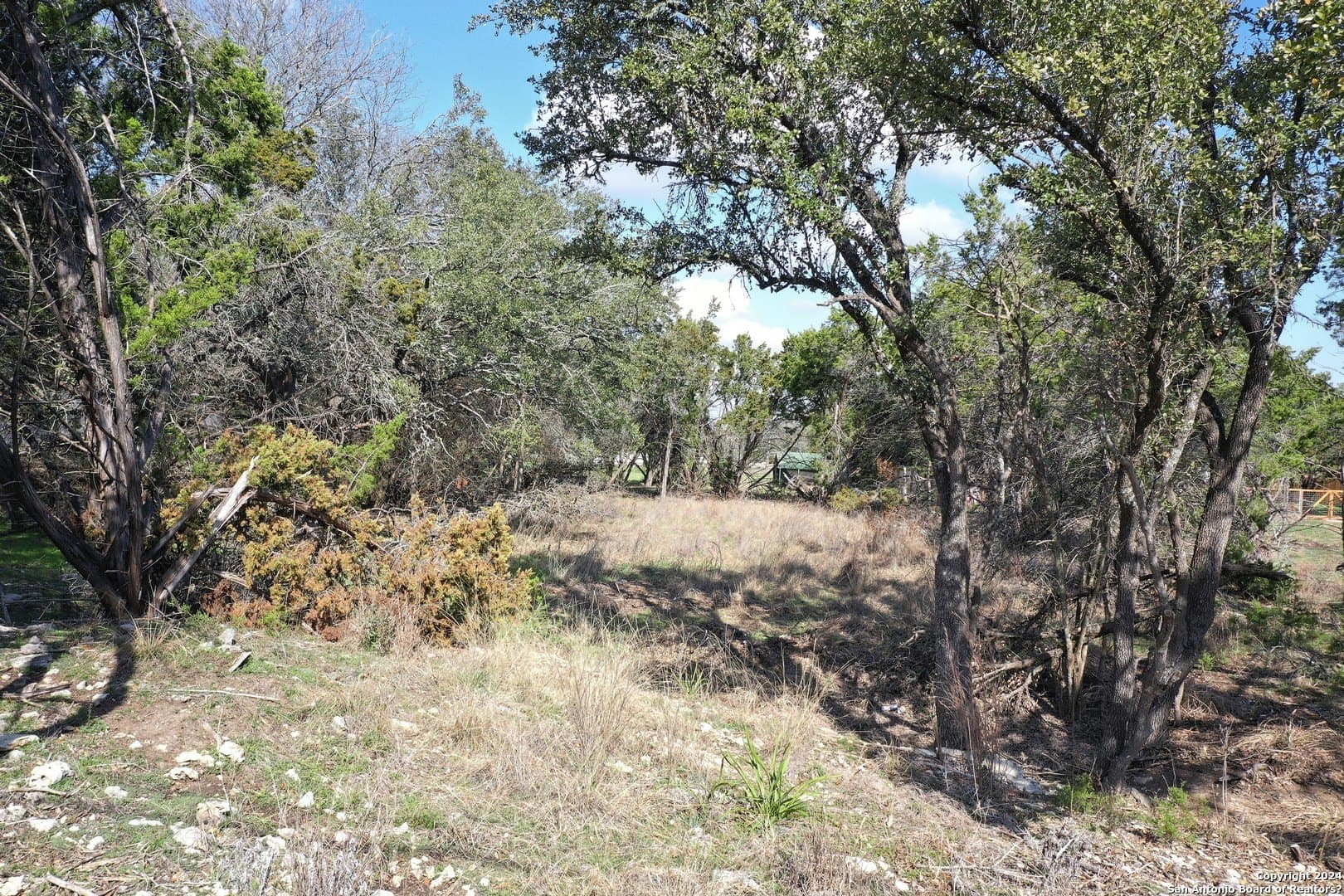0.45 acres in Bexar County - photo 16