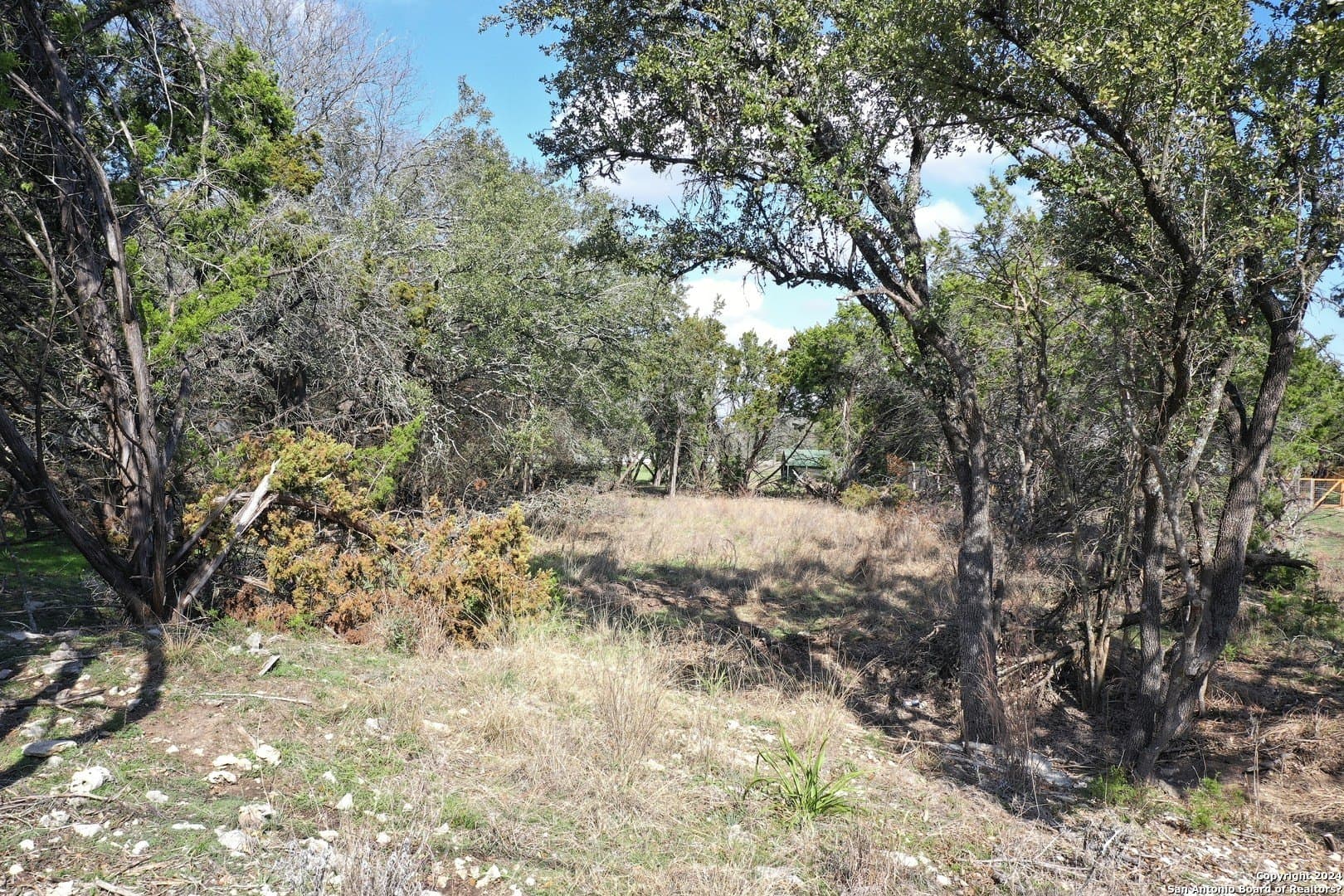0.45 acres in Bexar County - photo 10