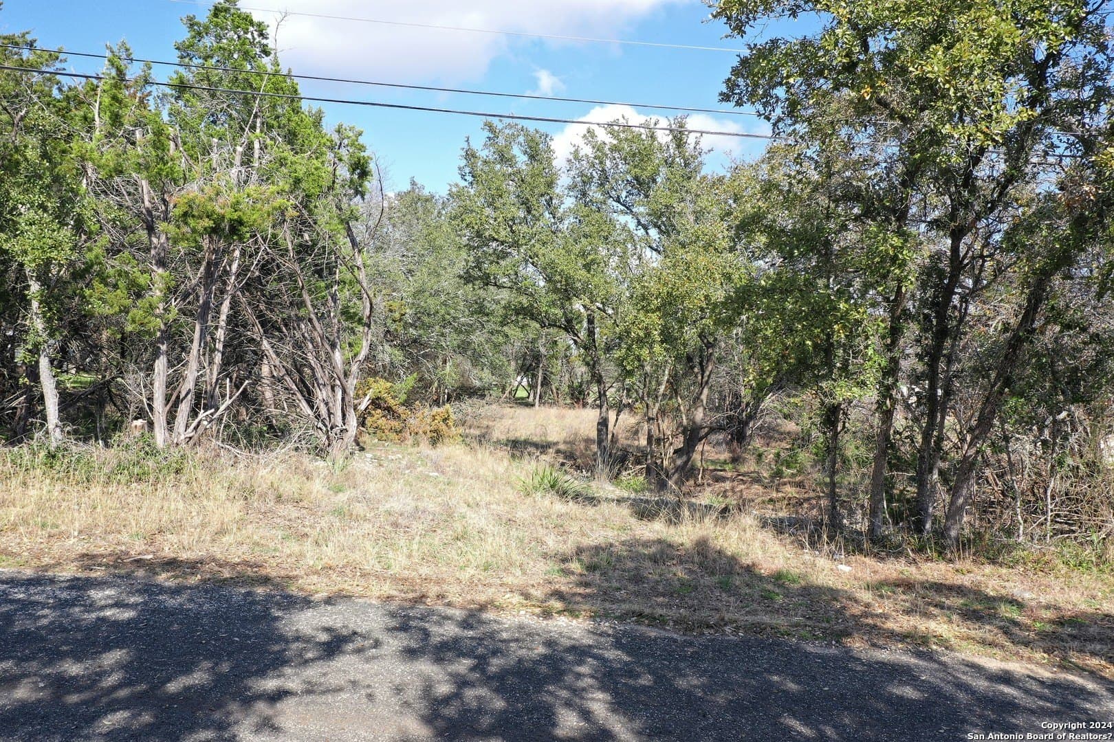 0.45 acres in Bexar County - photo 14