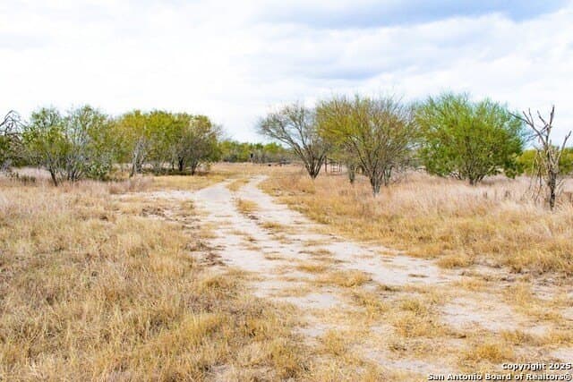 200 acres in Live Oak County - photo 6