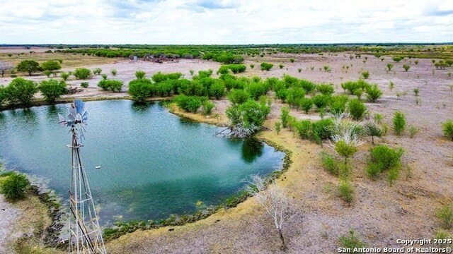 200 acres in Live Oak County - photo 23