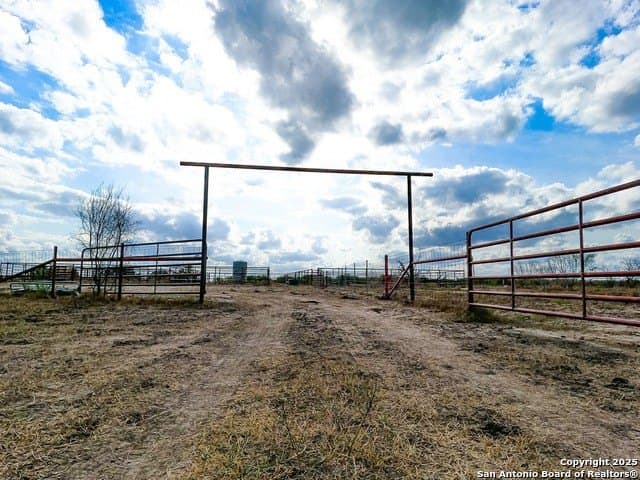 200 acres in Live Oak County - photo 15