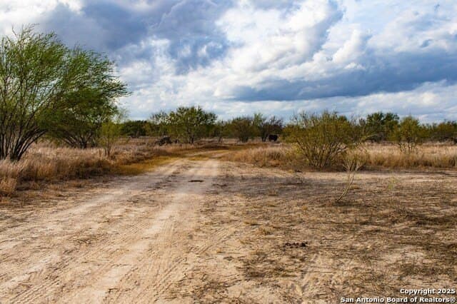 200 acres in Live Oak County - photo 16