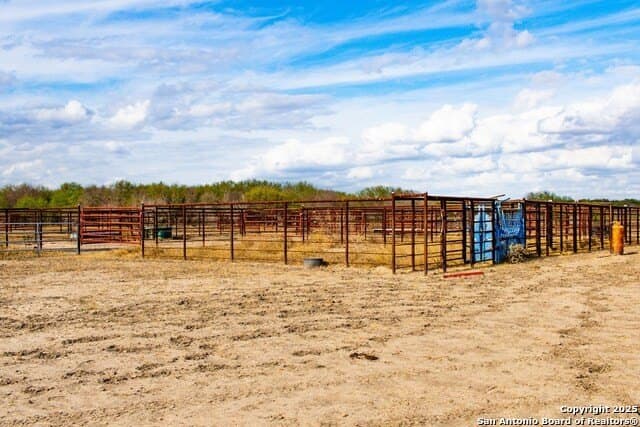 200 acres in Live Oak County - photo 17
