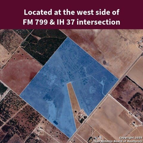 200 acres in Live Oak County - photo 2