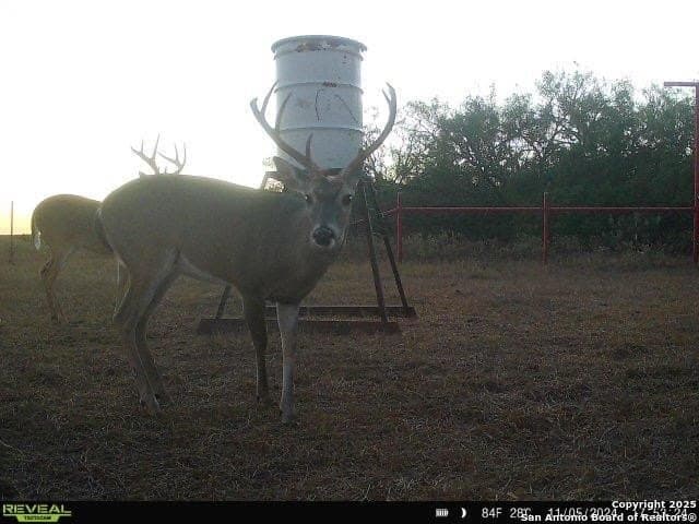 200 acres in Live Oak County - photo 5