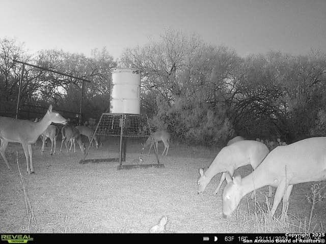 200 acres in Live Oak County - photo 20