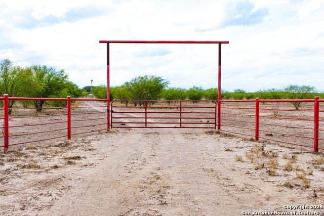 200 acres in Live Oak County - photo 4
