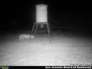 200 acres in Live Oak County - photo 18