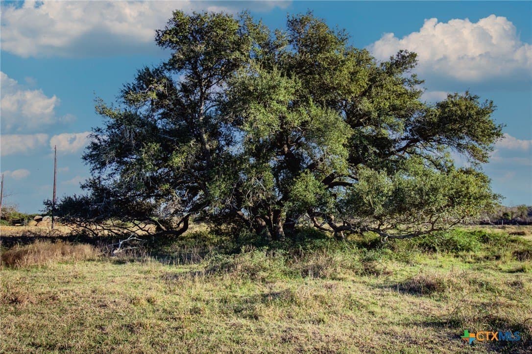 76.61 acres in Jackson County - photo 2