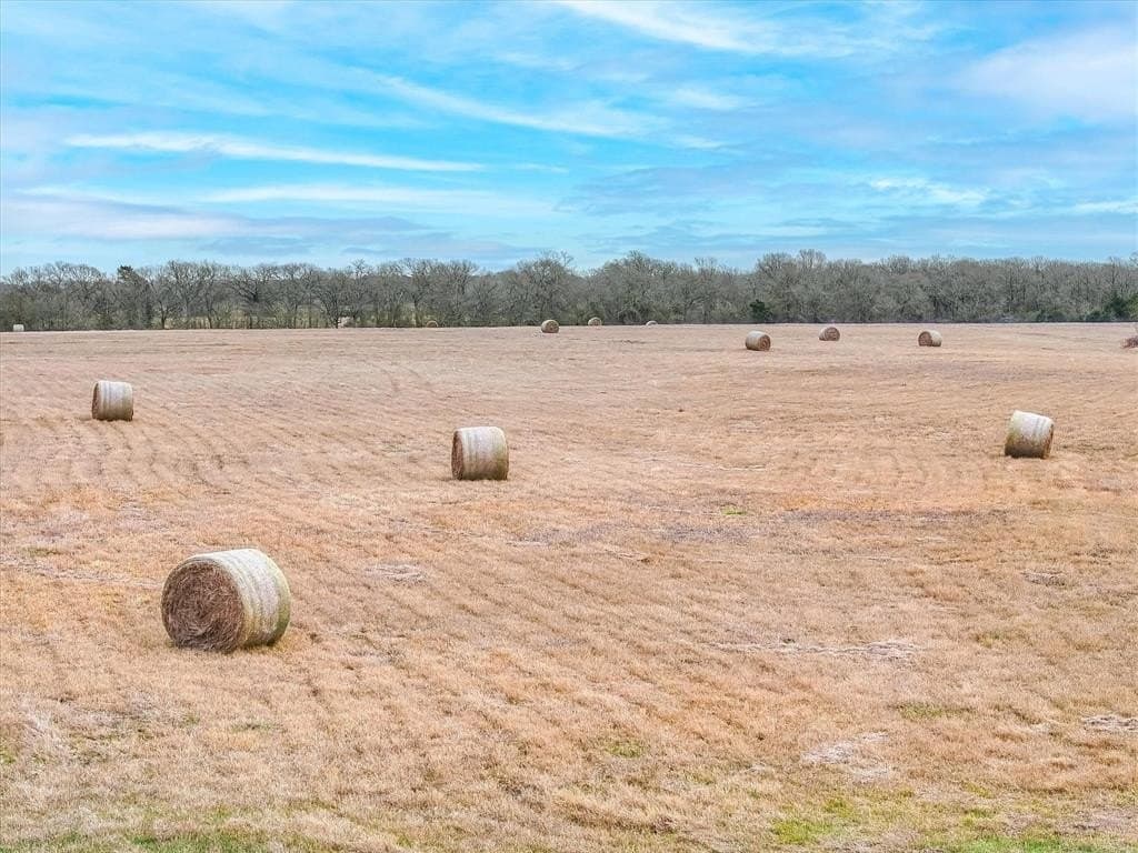 46.59 acres in Kaufman County - photo 13