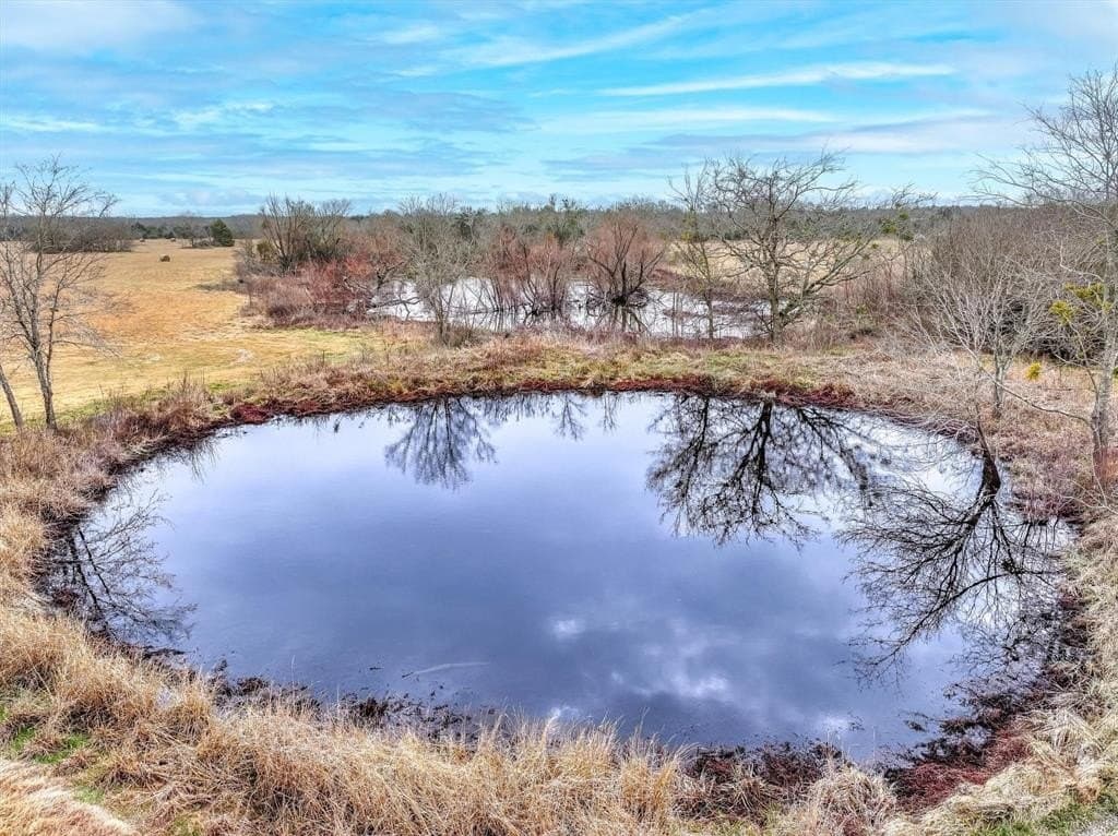 46.59 acres in Kaufman County - photo 12