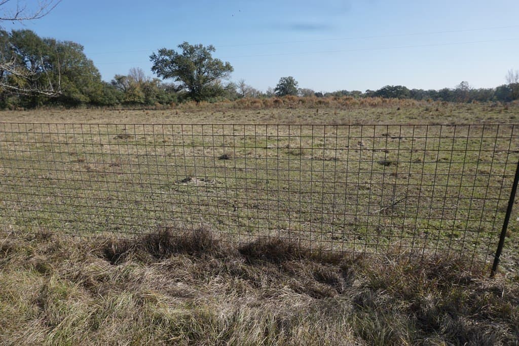 11.5 acres in Madison County - photo 4