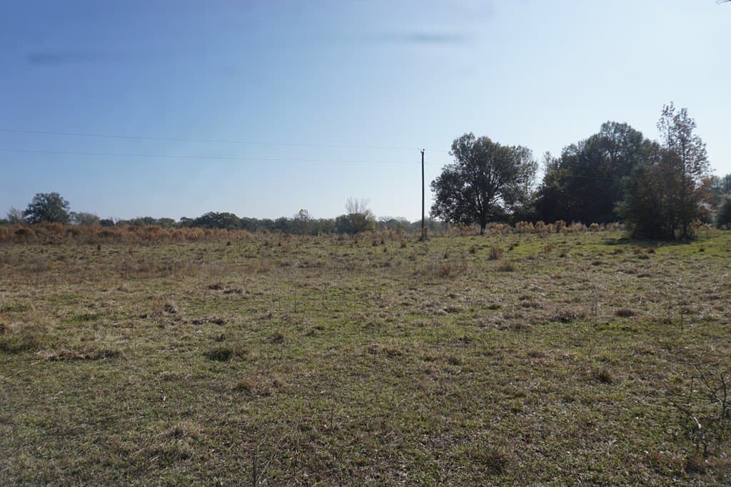 11.5 acres in Madison County - photo 7