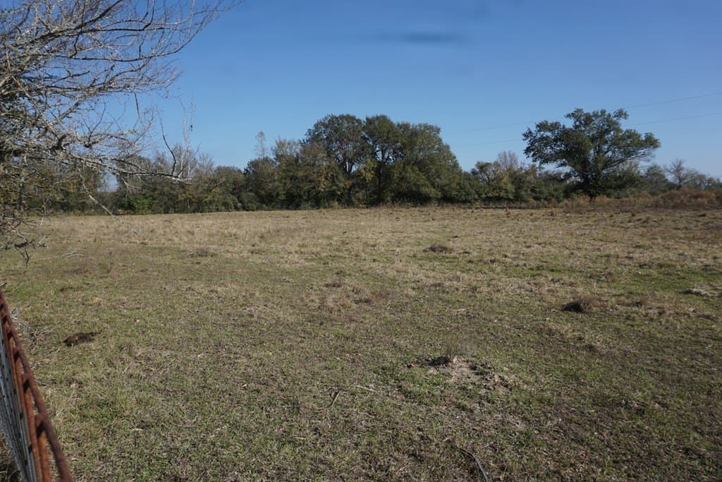 11.5 acres in Madison County - photo 5
