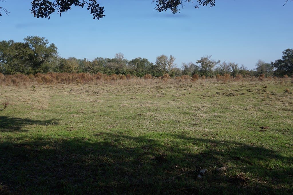11.5 acres in Madison County - photo 2