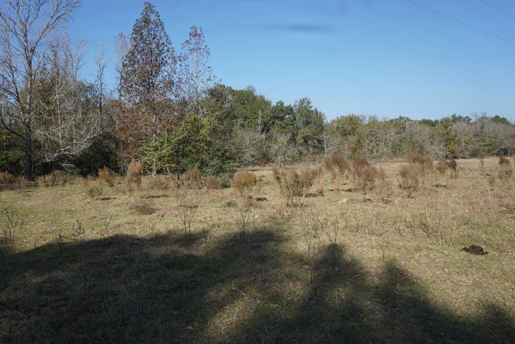 11.5 acres in Madison County - photo 3